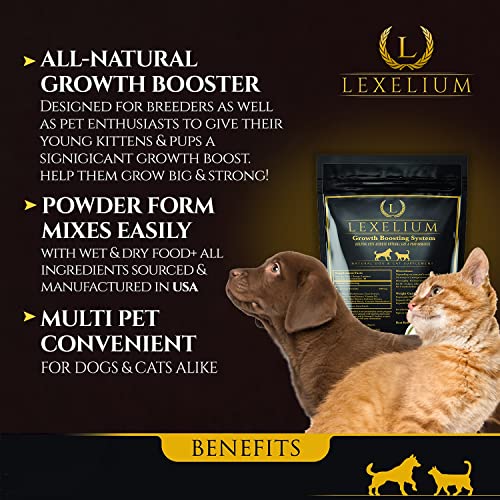Lexelium Weight Gainer Supplement for Dogs & Cats - Muscle Building & Appetite Stimulation - 100% Natural Pet Supplement to Add Weight & Increase Immunity in Puppies and Kittens -200g