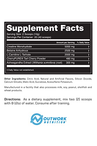 Outwork Nutrition Recovery Supplement - Post Workout Recovery Drink & Muscle Builder - Backed by Science (240 Grams) (Green Apple, 8.46)