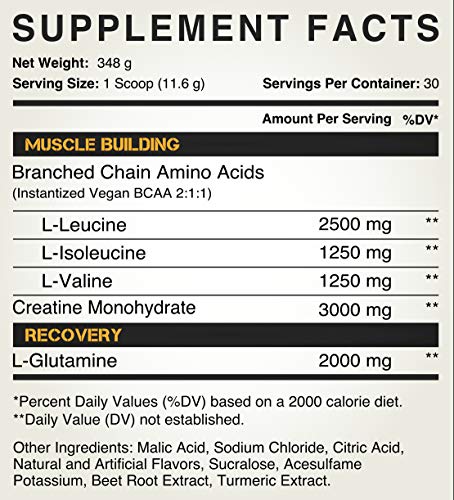 Kodiak Supplements Peak Post Workout - BCAA 2:1:1 Creatine - Glutamine - Muscle Recovery and Strength Building Supplement - 30 Servings - Tropical Mango