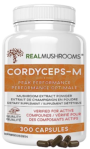 Real Mushrooms Cordyceps Capsules - Performance Mushroom Extract Supplement with Organic Cordyceps Militaris for Energy & Immune Support - Vegan Cordyceps Mushroom Supplement, Non-GMO, 300 Caps