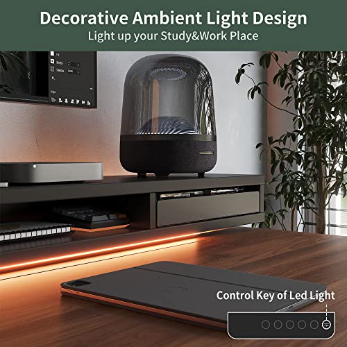 FEZIBO Electric Standing Desk with Monitor Stand, Gaming Workstation