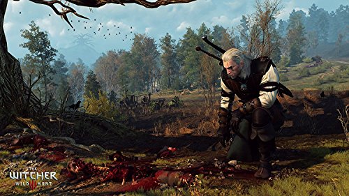Witcher 3: Game of the Year (PS4)