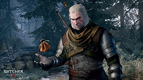 Witcher 3: Game of the Year (PS4)