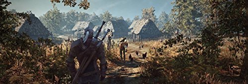 Witcher 3: Game of the Year (PS4)