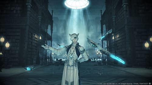 Final Fantasy XIV: Endwalker Collector's Edition - PC
