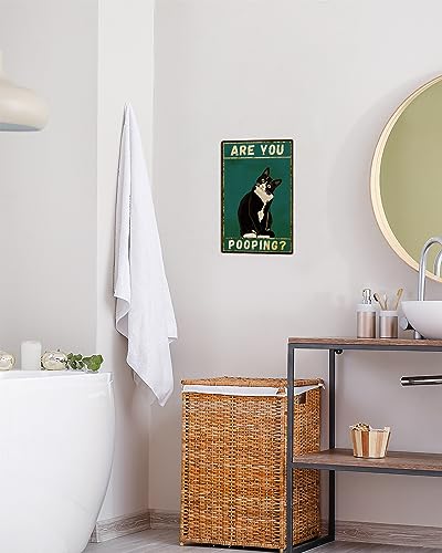 Funny Cat Metal Sign for Bathroom Wall Decor