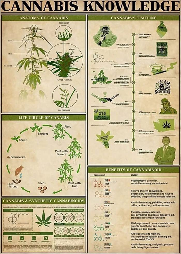 Vintage Cannabis Knowledge Metal Wall Sign 8x12