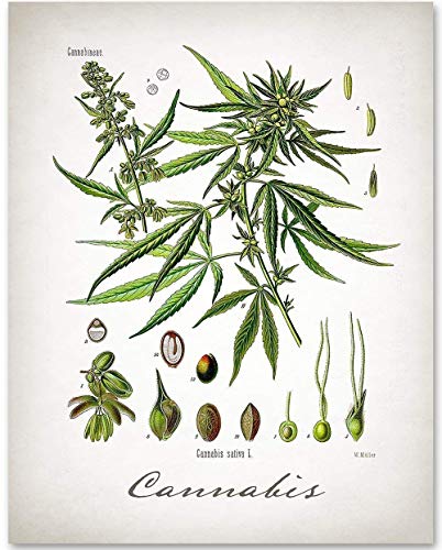 11x14 Unframed Cannabis Weed Art Print