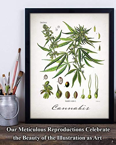 11x14 Unframed Cannabis Weed Art Print