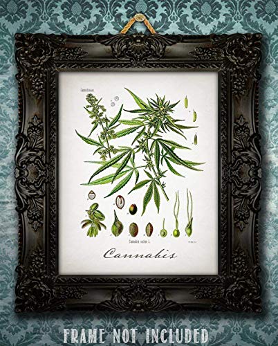 11x14 Unframed Cannabis Weed Art Print