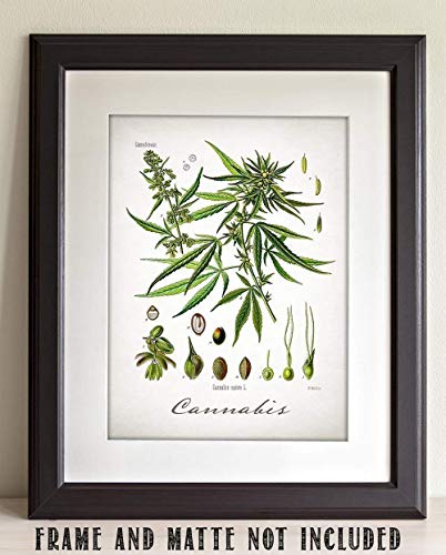 11x14 Unframed Cannabis Weed Art Print