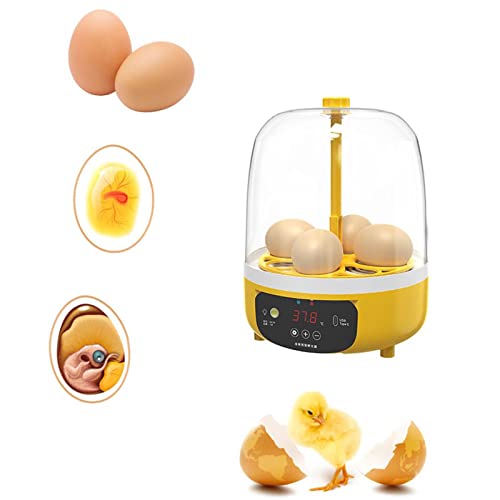 Chickens Eggs Incubator for Poultry Hatching