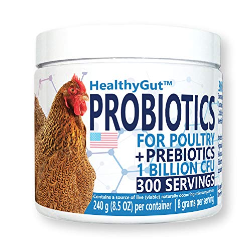Equa Holistics HealthyGut Probiotics - All-Natural Chicken Supplement