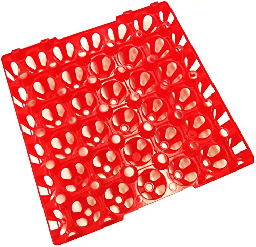 Rite Farm Chicken Trays - 6 30 Egg Capacity