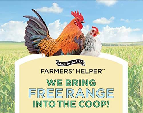 Original Forage Cake for Chickens and Poultry, 13 oz