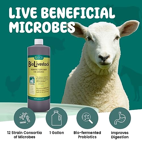 SCD Bio - Organic Probiotic Supplement for Chickens