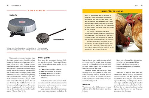 Guide to Raising Chickens: Breed, Facilities, Feeding