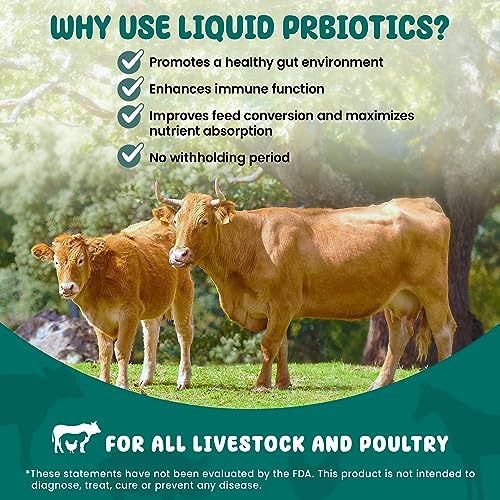 SCD Bio - Organic Probiotic Supplement for Chickens