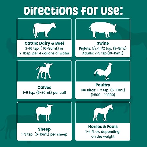 SCD Bio - Organic Probiotic Supplement for Chickens