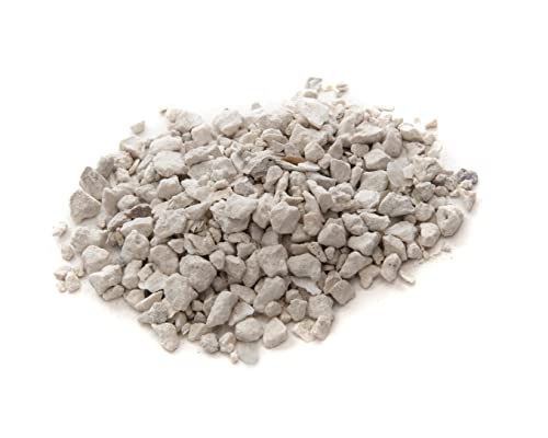 Oyster Shell Calcium Supplement for Laying Chickens - 5 lbs