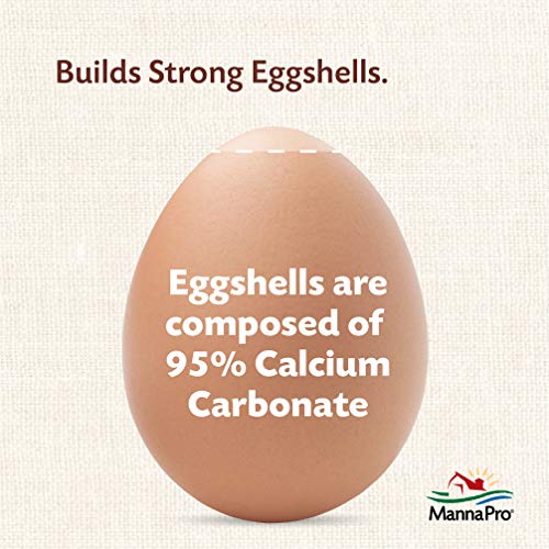 Oyster Shell Calcium Supplement for Laying Chickens - 5 lbs