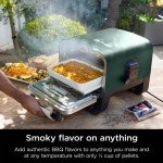 Ninja Woodfire Outdoor Pizza Oven with 5 Settings