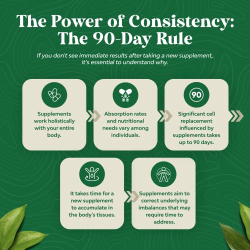 Saw Palmetto Capsules for Prostate & Hair Loss