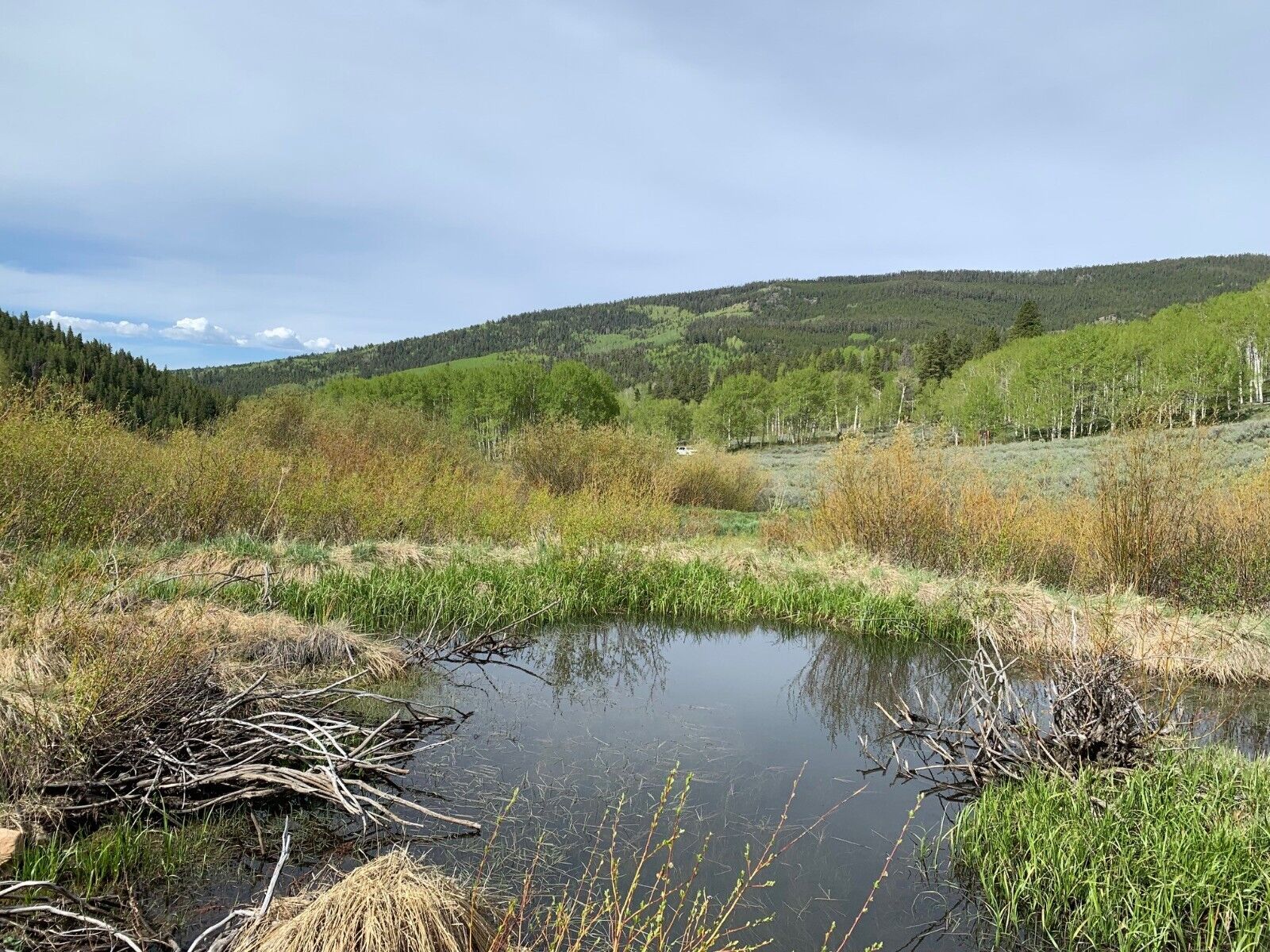 Gold Mines & Hot Springs Creek, Bowerman Ghost Town