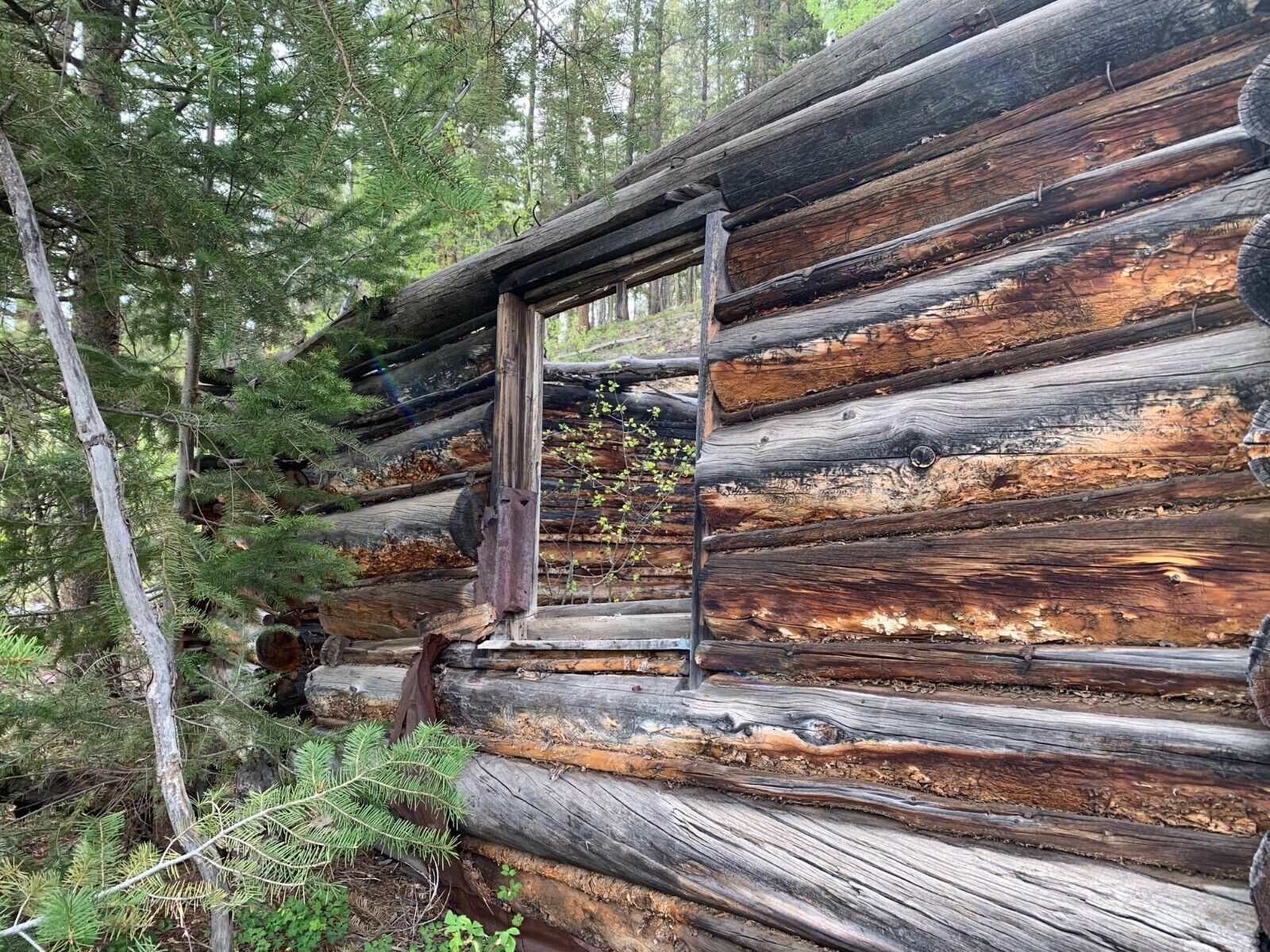 Gold Mines & Hot Springs Creek, Bowerman Ghost Town