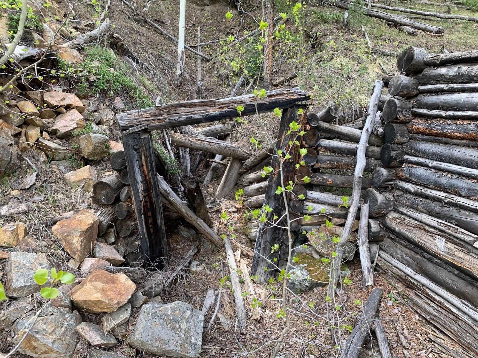 Gold Mines & Hot Springs Creek, Bowerman Ghost Town