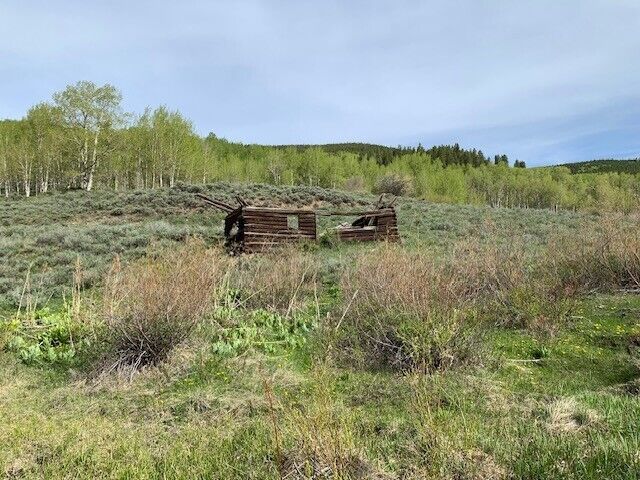 Gold Mines & Hot Springs Creek, Bowerman Ghost Town