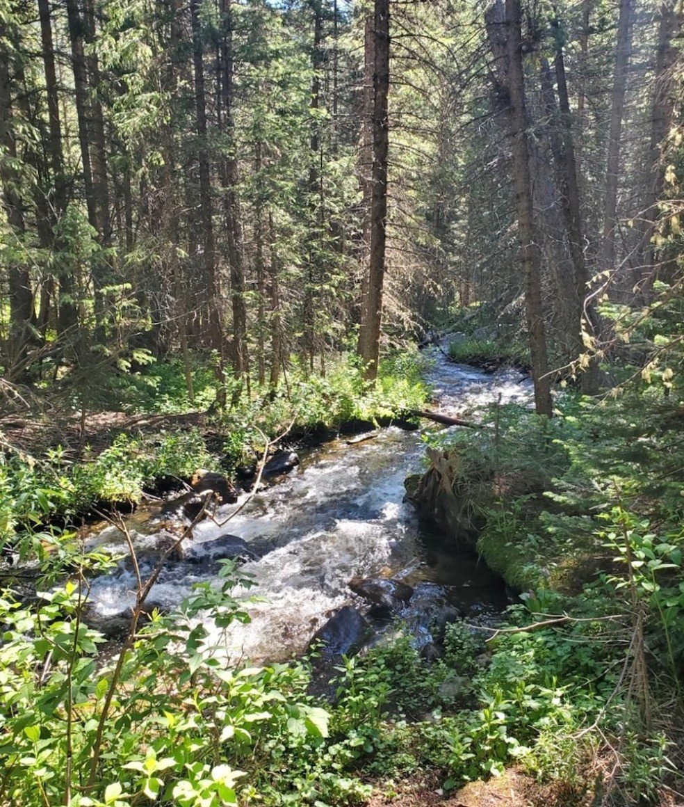 20 Acre Gold Claims for Sale in Grand County