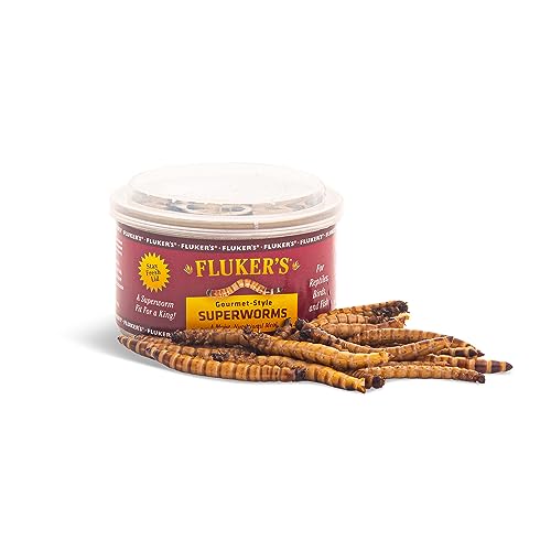 Fluker's Gourmet Superworms for Bearded Dragon - 1.2oz
