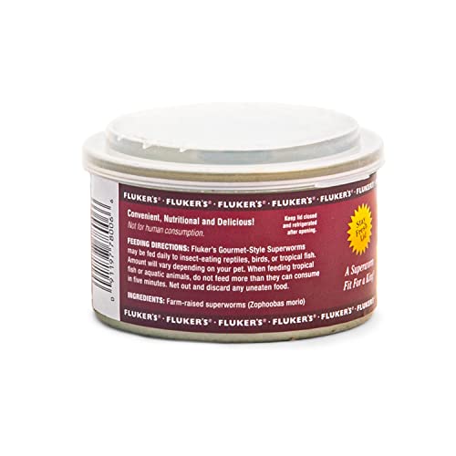 Fluker's Gourmet Superworms for Bearded Dragon - 1.2oz