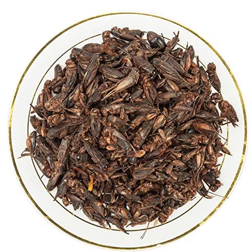 Appetizing Mealworms & Dried Crickets – Natural Food