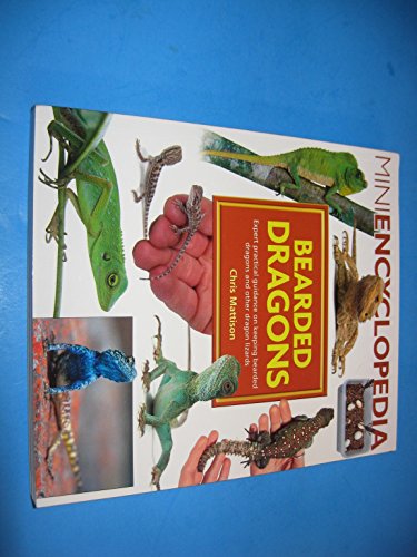 Mini Bearded Dragon Encyclopedia
