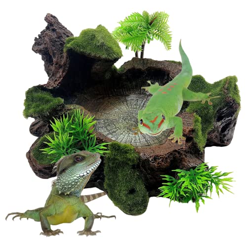 Resin Platform for Bearded Dragon Tank Decoration