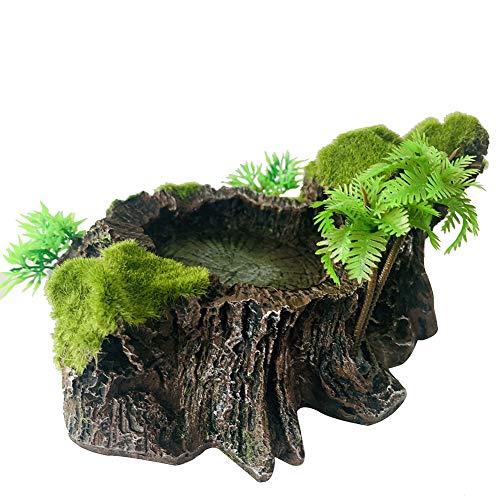 Resin Platform for Bearded Dragon Tank Decoration