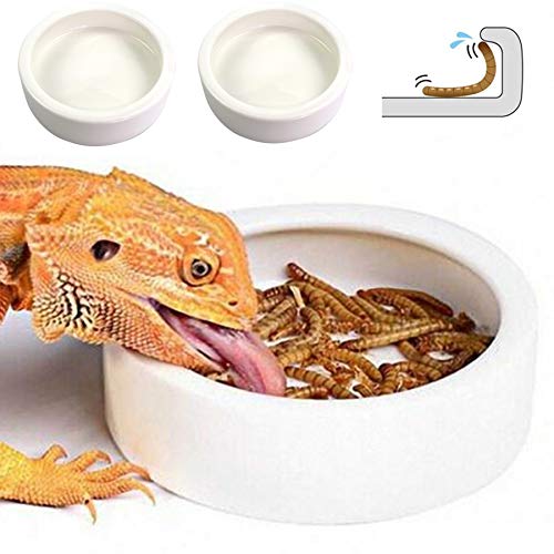 Ceramic Pet Bowls for Bearded Dragon & Reptiles
