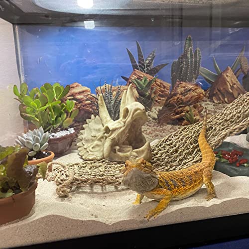 Bearded Dragon Tank Decoration: Resin Dinosaur Skull