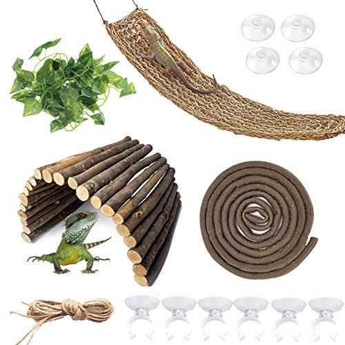 Versatile Reptile Habitat Decor for Bearded Dragons