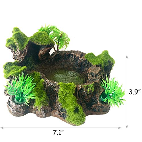 Resin Platform for Bearded Dragon Tank Decoration