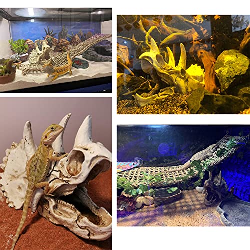 Bearded Dragon Dinosaur Skull Hammock - Reptile Accessories