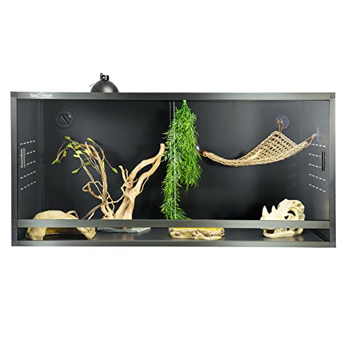 Bearded Dragon Enclosure: Spacious and Secure Reptile Habitat