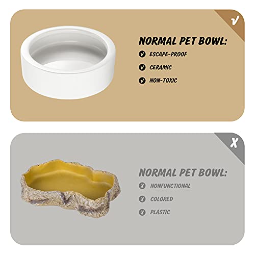 Ceramic Pet Bowls for Bearded Dragon & Reptiles