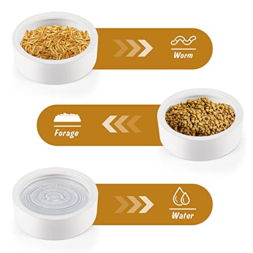 Ceramic Pet Bowls for Bearded Dragon & Reptiles