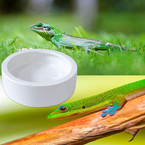 2 Pk Bearded Dragon Dish Reptile Food Bowl (M, White)