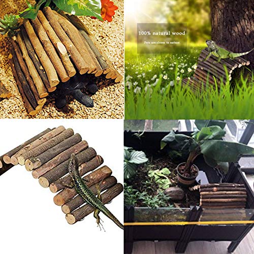 Versatile Reptile Habitat Decor for Bearded Dragons