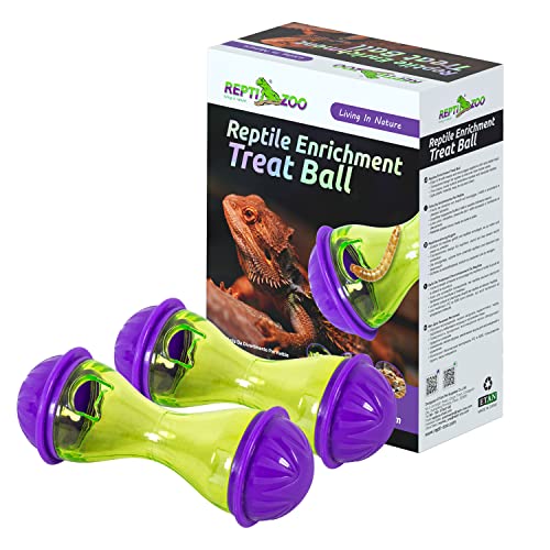 Bearded Dragon Toys and Terrarium Decor Set