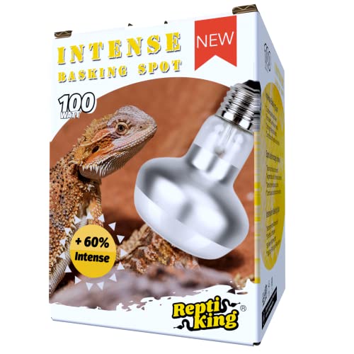 Intense Basking Spot for Bearded Dragon - 100W